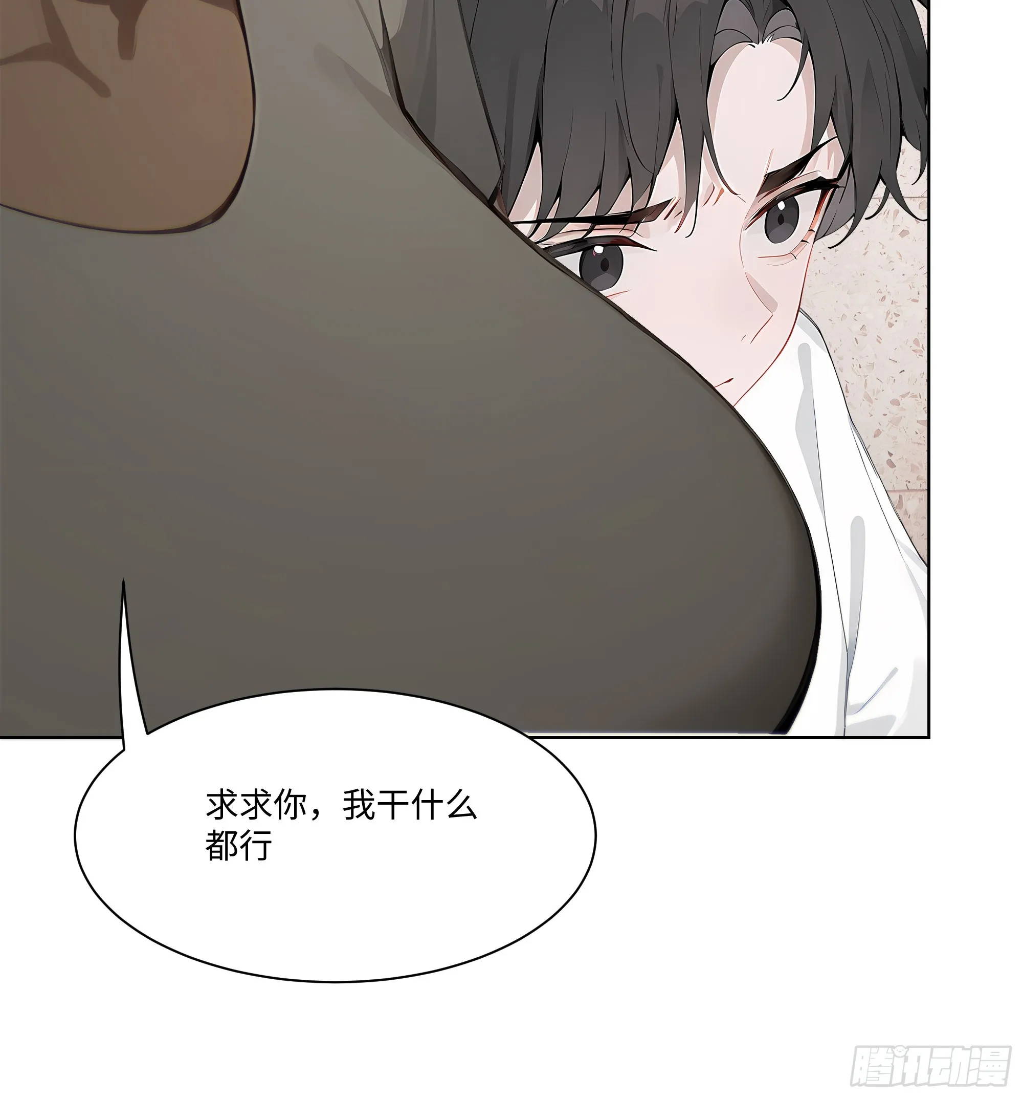 开局物价贬值，我成为了世界首富,45 自卫机构,第8张