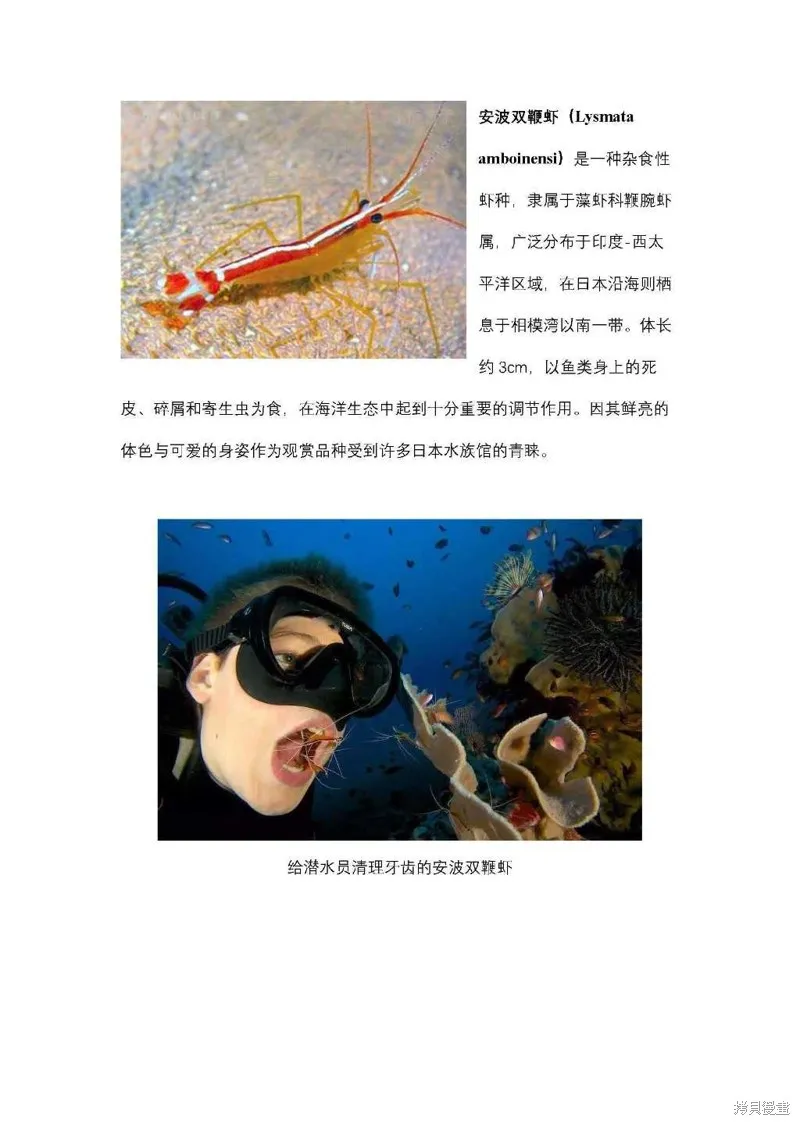 从今天开始的青梅竹马,第77话,第15张