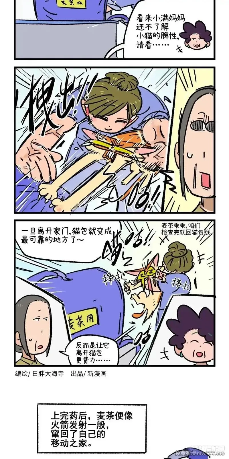 阿满和麦茶,第223话,第20张