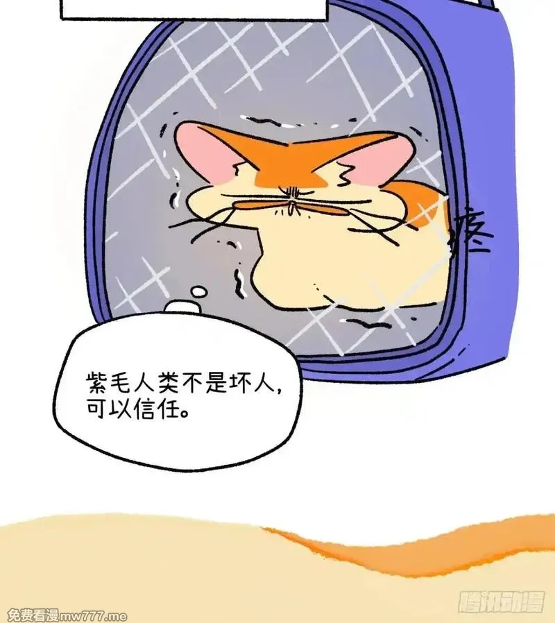 阿满和麦茶,第223话,第3张