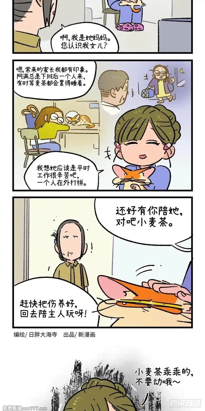 阿满和麦茶,第223话,第8张