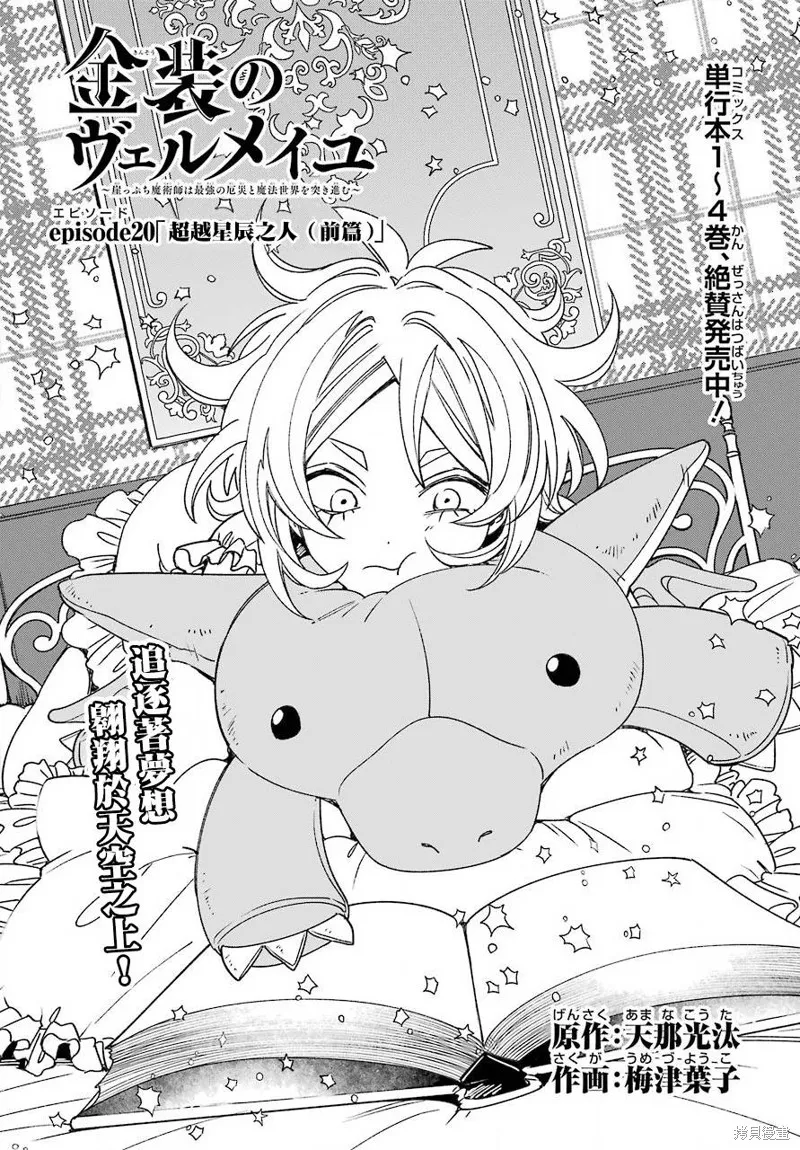 金裝的維爾梅,第20.1话,第5张