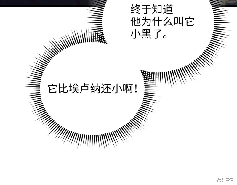 领主大人的金币用不完,第131话,第137张