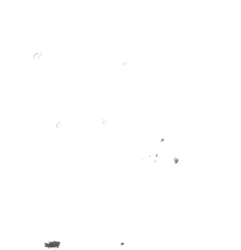 关于我写的同人被正主发现了这件事,57 来势汹汹的贝斯王子,第35张