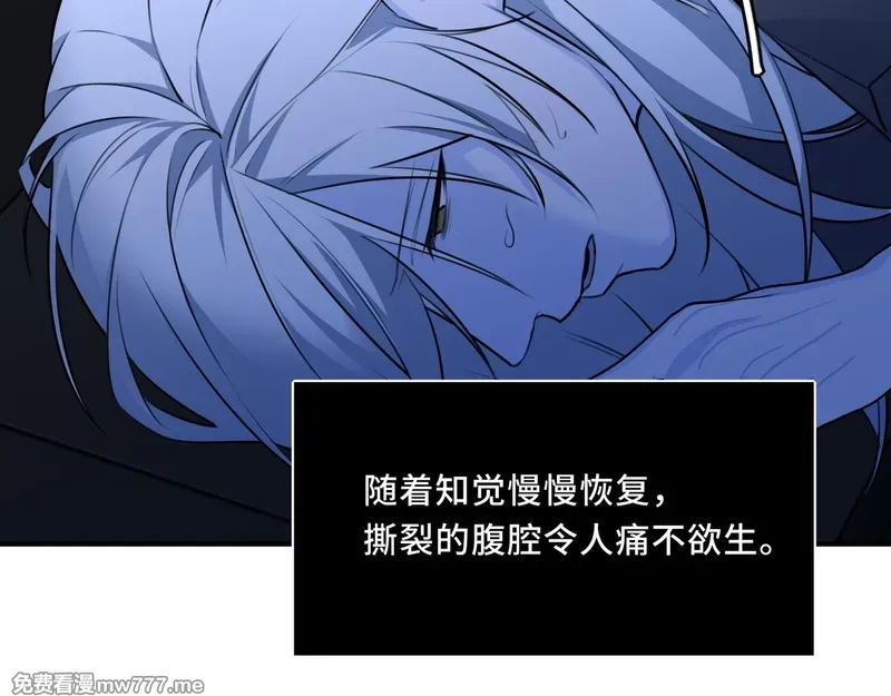 她们的幻影,22,第62张