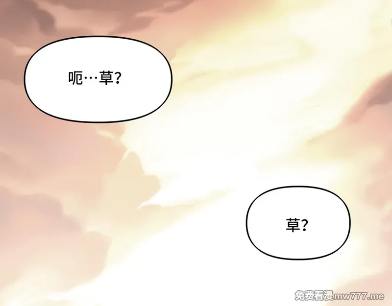 她们的幻影,20,第10张