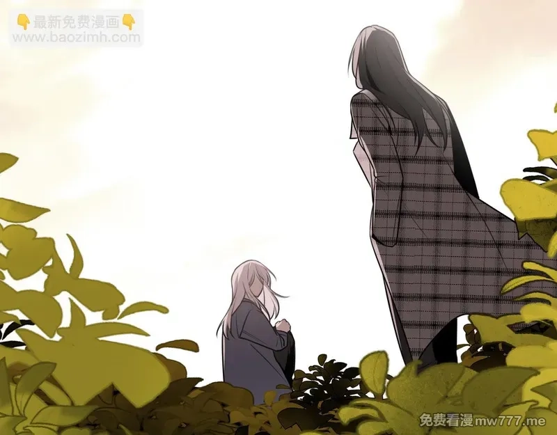她们的幻影,20,第11张