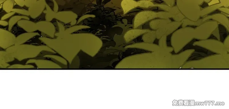 她们的幻影,20,第12张