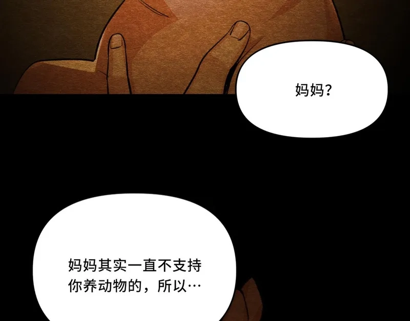 她们的幻影,7,第66张