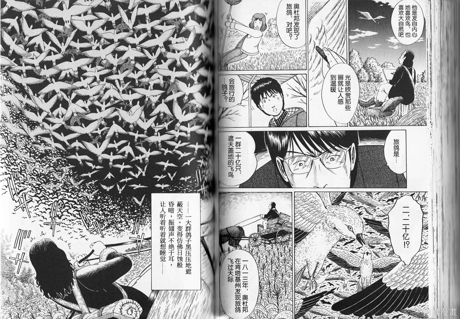 奧杜邦的祈禱,上卷,第98张