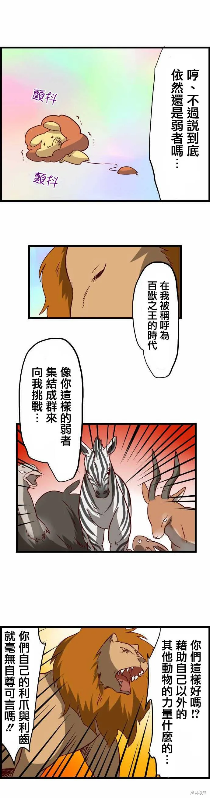 百獸之王鬃毛喵喵,第24话,第2张