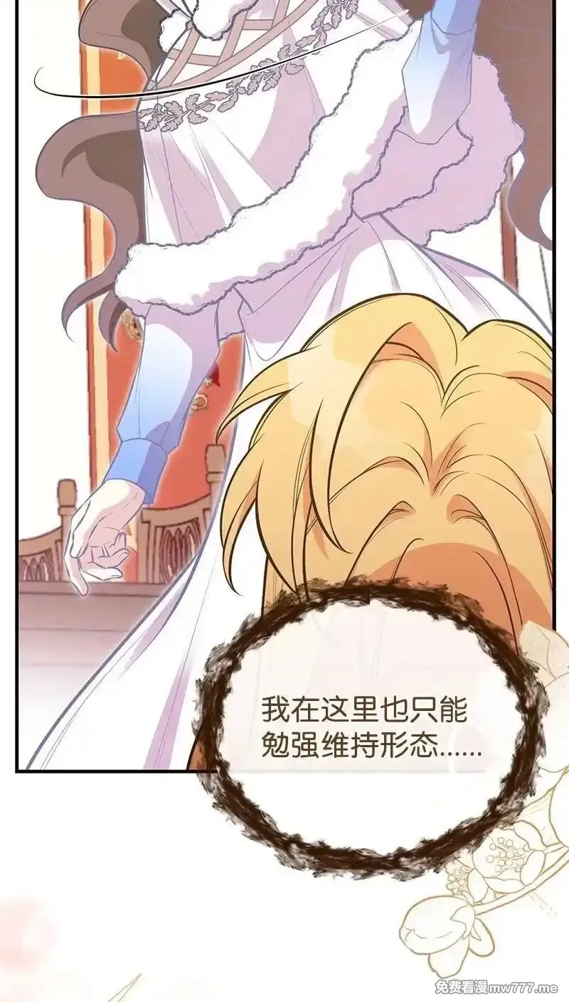 姐姐捡回了男主,88 又见坦西斯,第72张