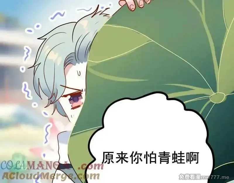 成也萧河,番外·综艺节目采花吧（上）,第49张