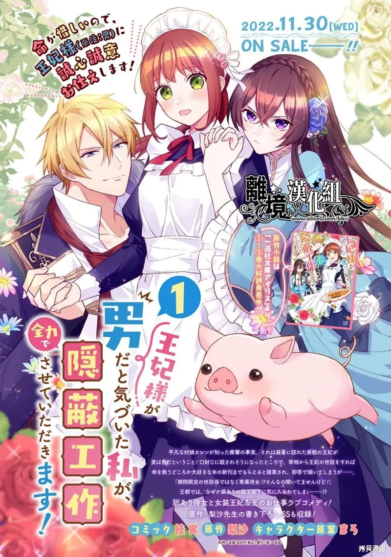 当发现王妃大人是男人之后、我开始全力协助隐瞒工作,第06話,第1张