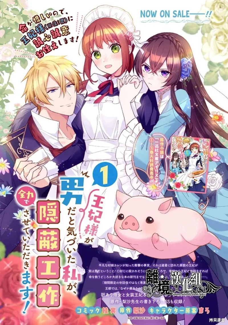 当发现王妃大人是男人之后、我开始全力协助隐瞒工作,第09話,第26张