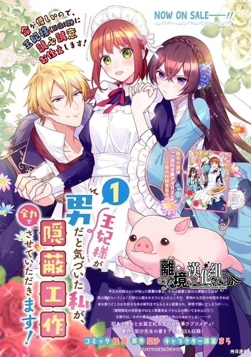 当发现王妃大人是男人之后、我开始全力协助隐瞒工作,第12話,第35张