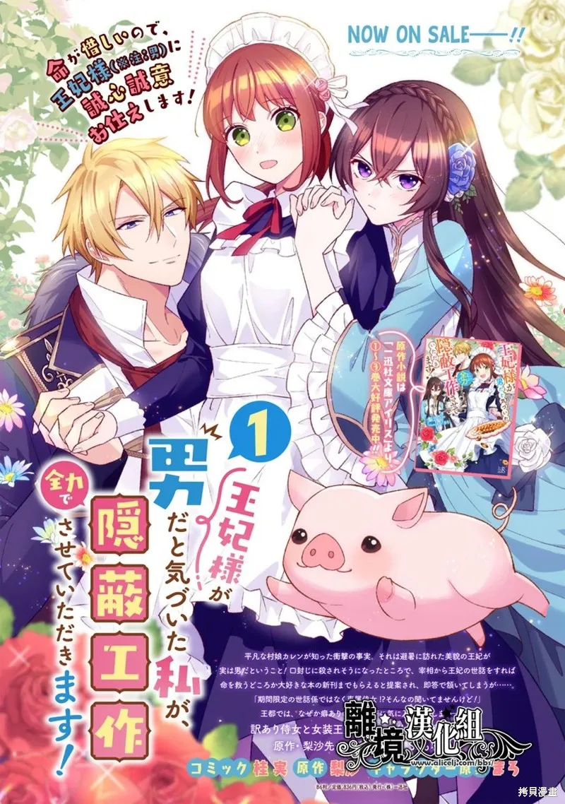 当发现王妃大人是男人之后、我开始全力协助隐瞒工作,第08話,第26张