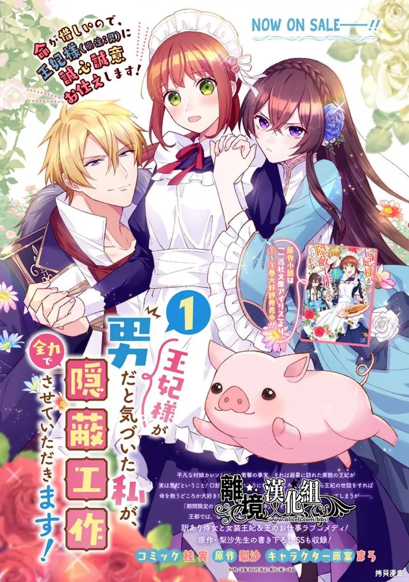 当发现王妃大人是男人之后、我开始全力协助隐瞒工作,第07話,第27张