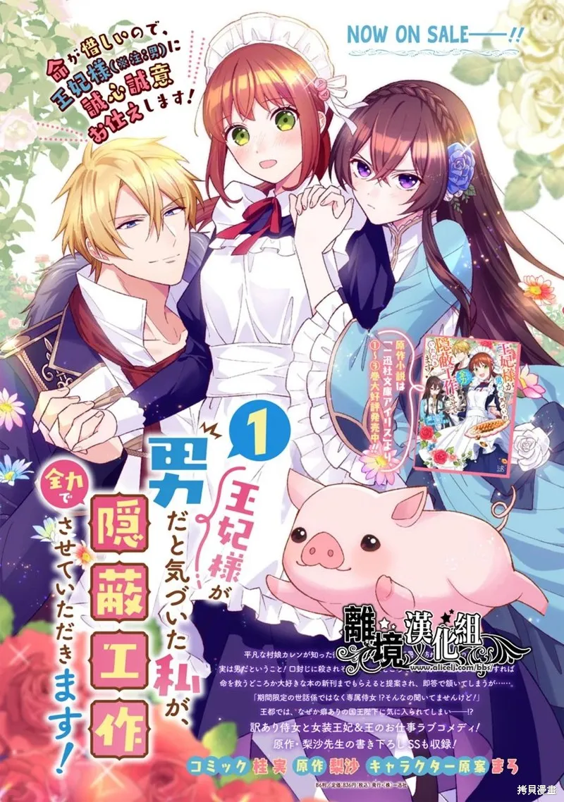 当发现王妃大人是男人之后、我开始全力协助隐瞒工作,第10話,第33张