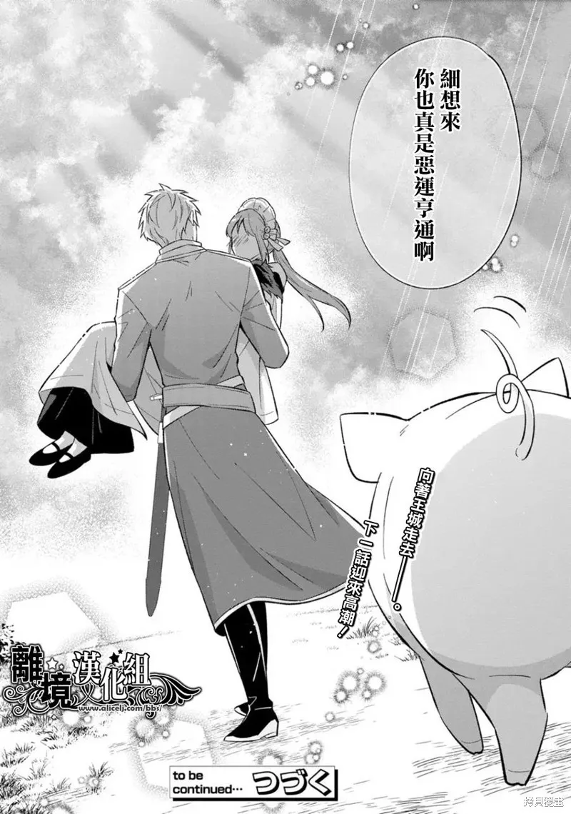 当发现王妃大人是男人之后、我开始全力协助隐瞒工作,第17話,第29张