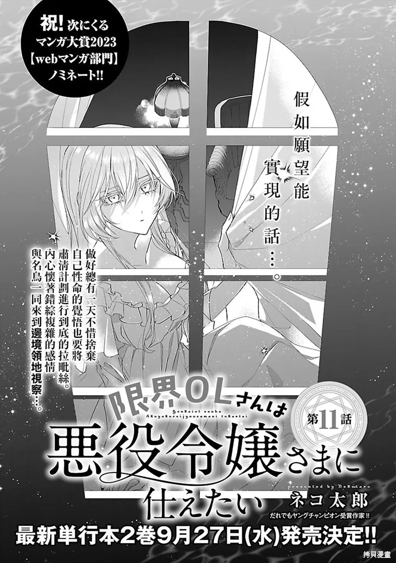极限OL想要服侍反派千金大小姐,第11話,第3张