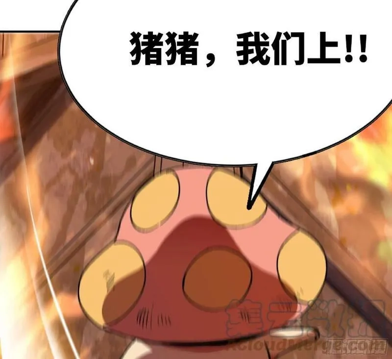 蘑菇勇者,93 菇猪出击,第53张