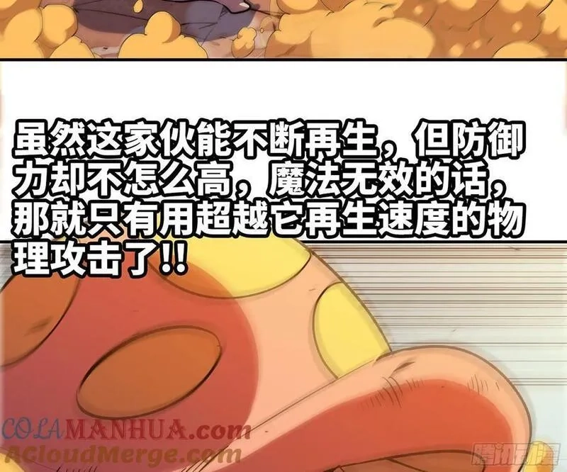 蘑菇勇者,95 物理攻击,第61张