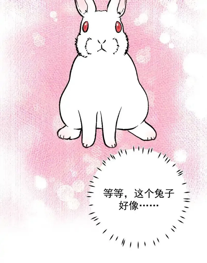 开店后我竟被迫领养兽耳少女？,第62话,第18张
