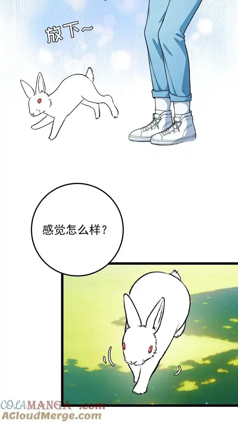 开店后我竟被迫领养兽耳少女？,第63话,第15张
