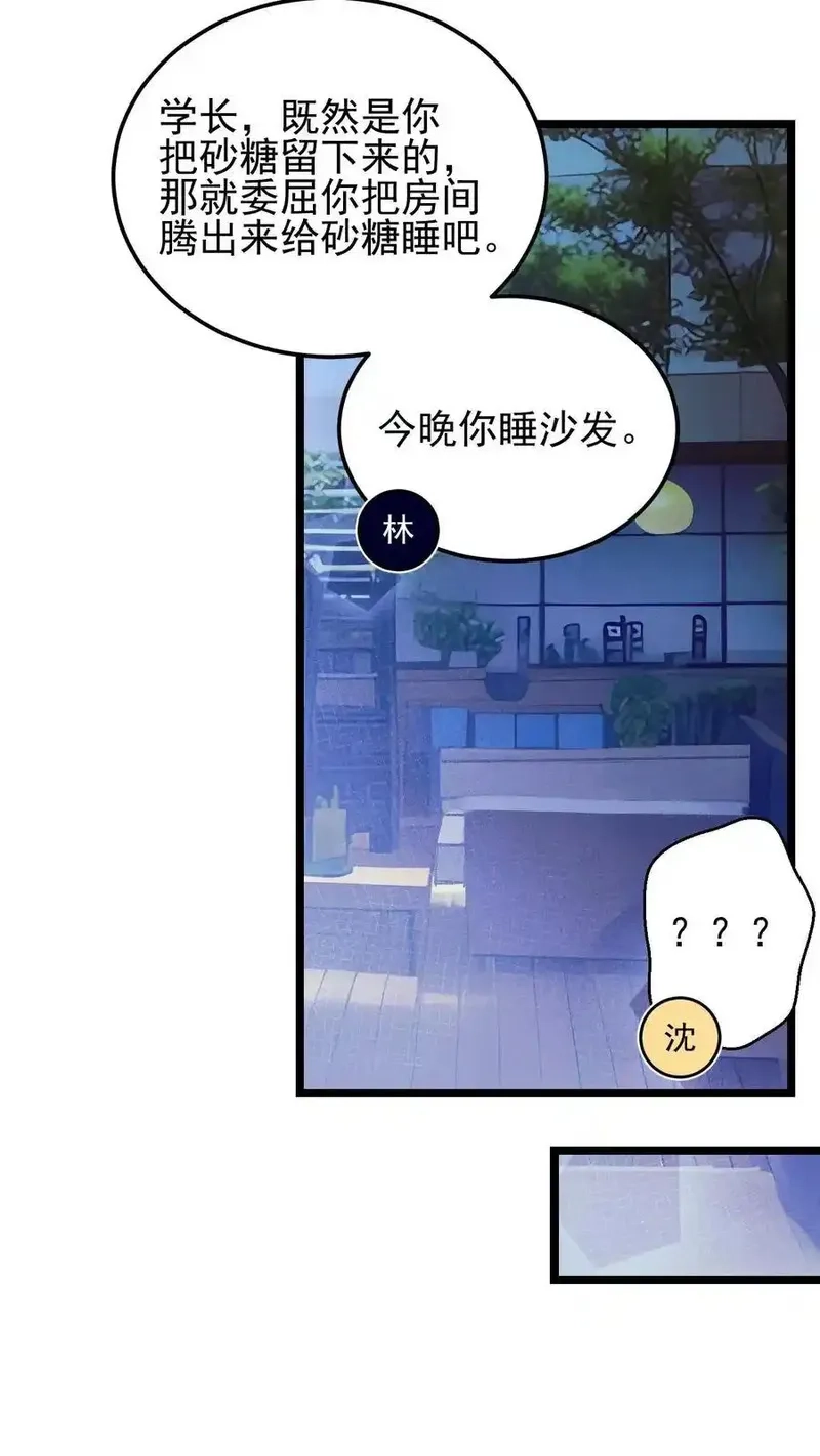 开店后我竟被迫领养兽耳少女？,第5话,第20张