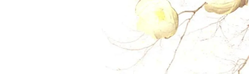 穿书：逆徒他又想欺师,004 禁室的秘密,第74张