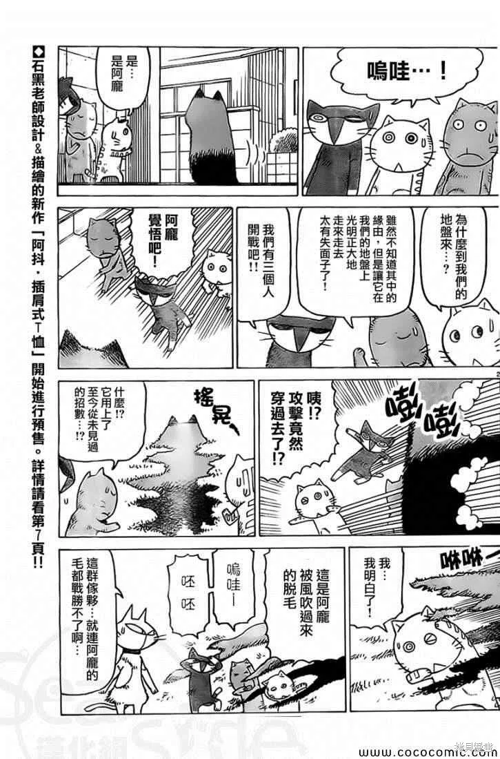 我家的街貓,第19话,第2张