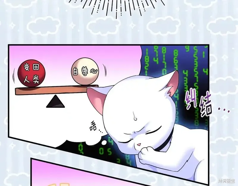 專屬蘇丹的寶貝貓咪,第4话,第102张