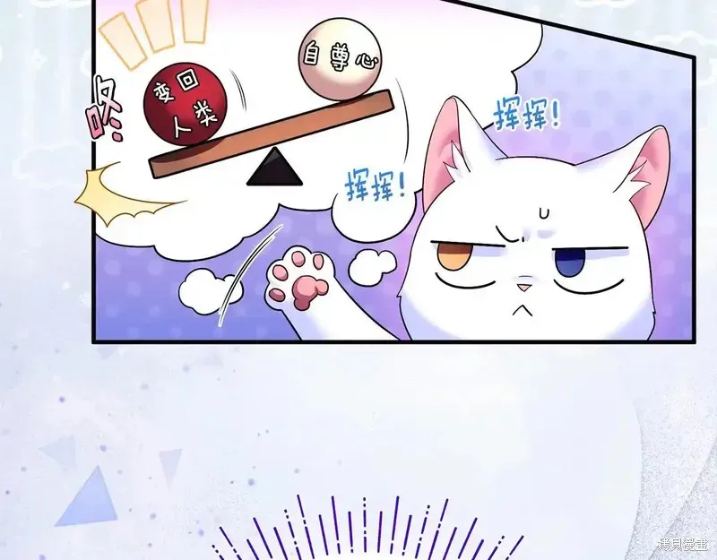 專屬蘇丹的寶貝貓咪,第4话,第103张