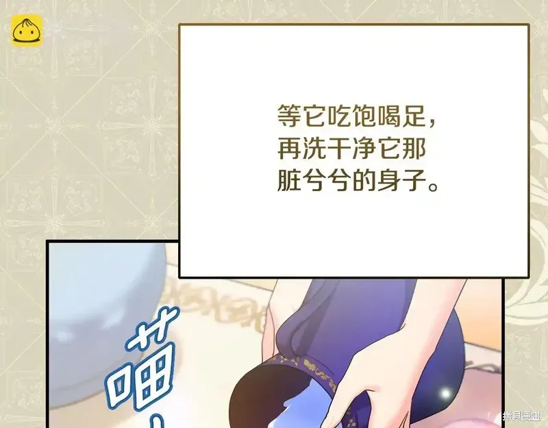 專屬蘇丹的寶貝貓咪,第4话,第12张