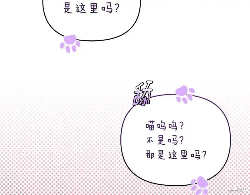 專屬蘇丹的寶貝貓咪,第4话,第120张