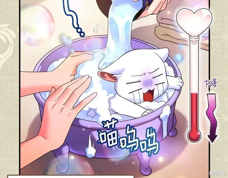 專屬蘇丹的寶貝貓咪,第4话,第13张