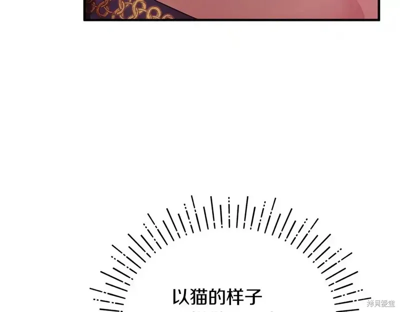 專屬蘇丹的寶貝貓咪,第4话,第138张