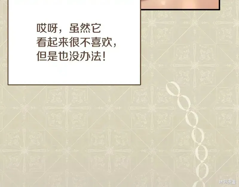 專屬蘇丹的寶貝貓咪,第4话,第14张