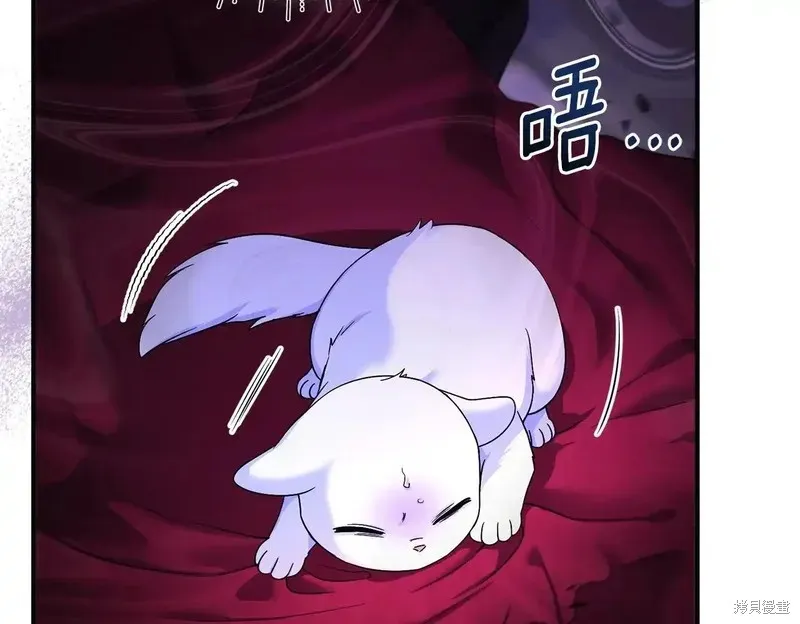 專屬蘇丹的寶貝貓咪,第4话,第148张
