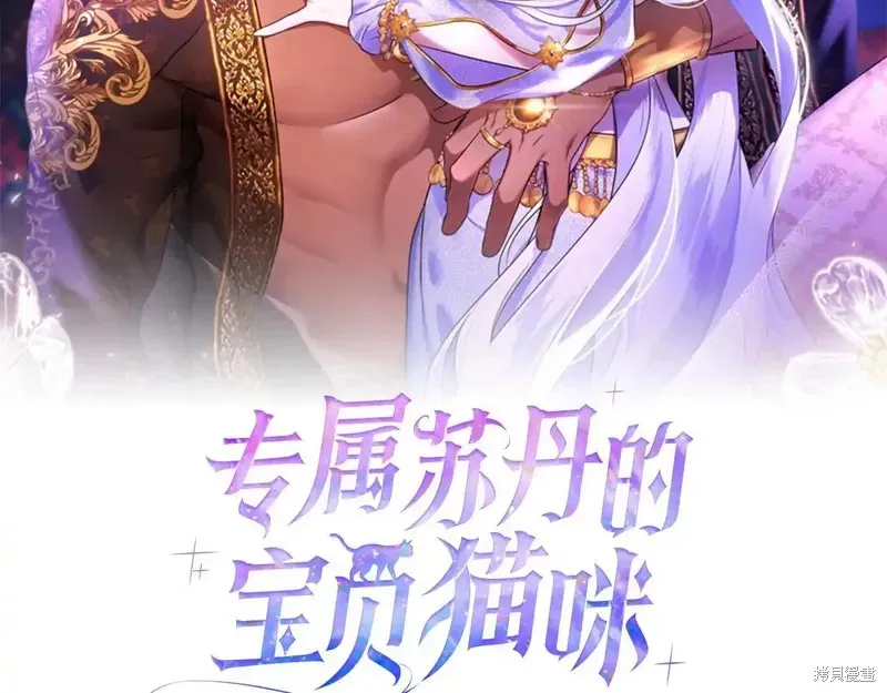專屬蘇丹的寶貝貓咪,第4话,第159张