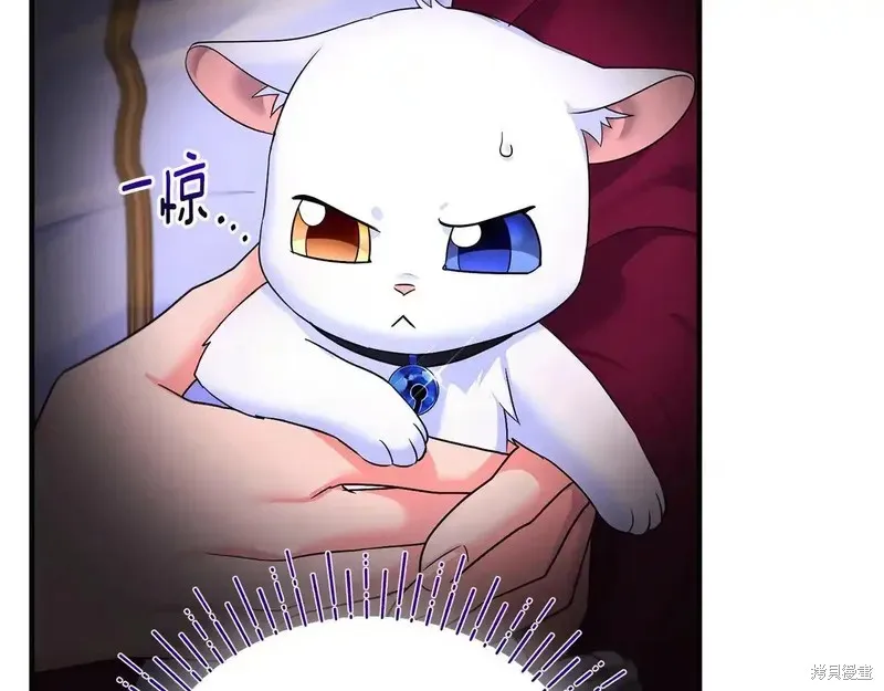 專屬蘇丹的寶貝貓咪,第4话,第34张