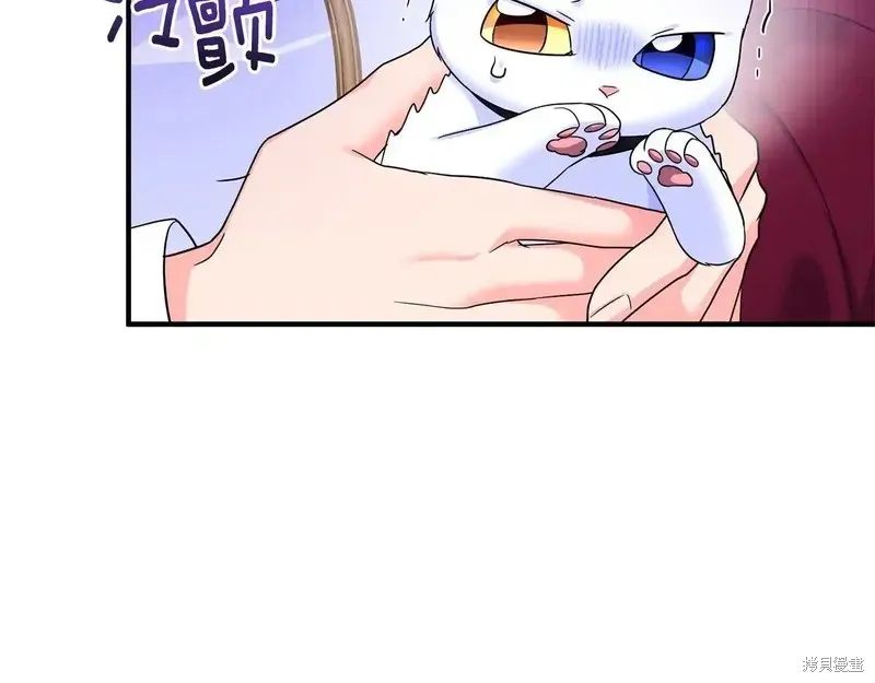 專屬蘇丹的寶貝貓咪,第4话,第40张