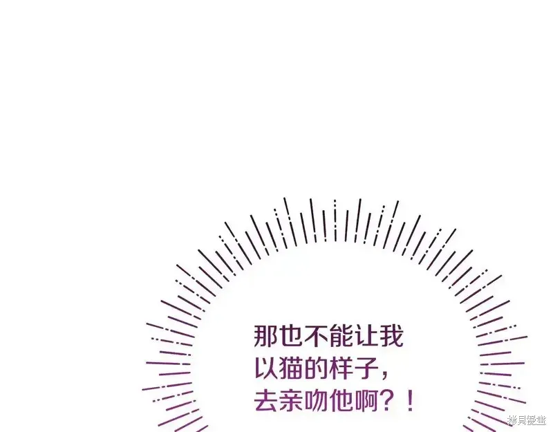專屬蘇丹的寶貝貓咪,第4话,第63张