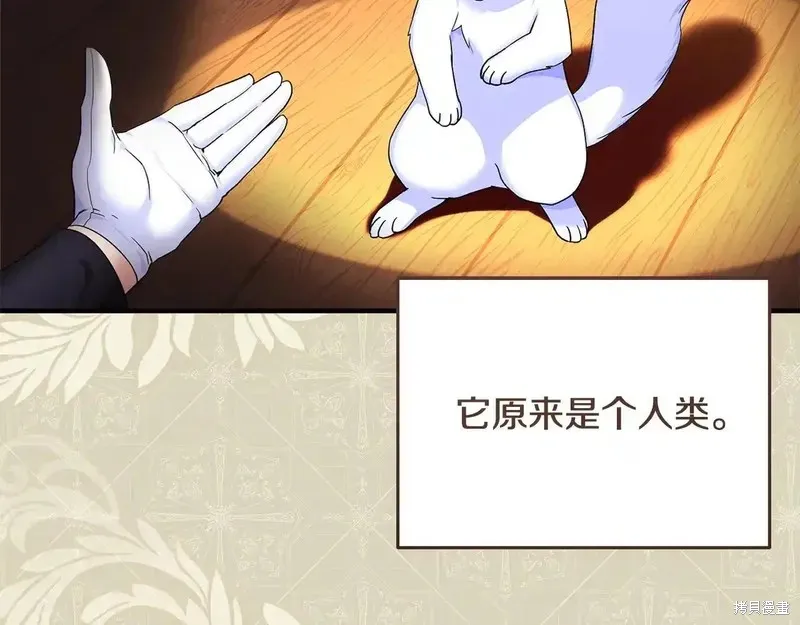 專屬蘇丹的寶貝貓咪,第4话,第7张