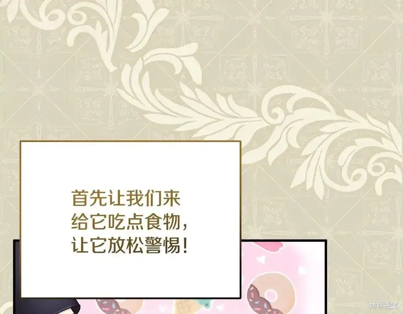 專屬蘇丹的寶貝貓咪,第4话,第8张