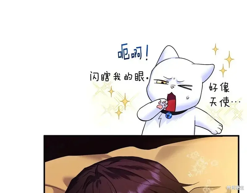 專屬蘇丹的寶貝貓咪,第4话,第94张