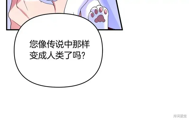 專屬蘇丹的寶貝貓咪,第5话,第100张