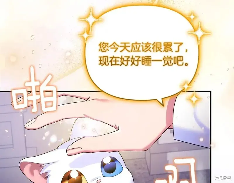 專屬蘇丹的寶貝貓咪,第5话,第115张