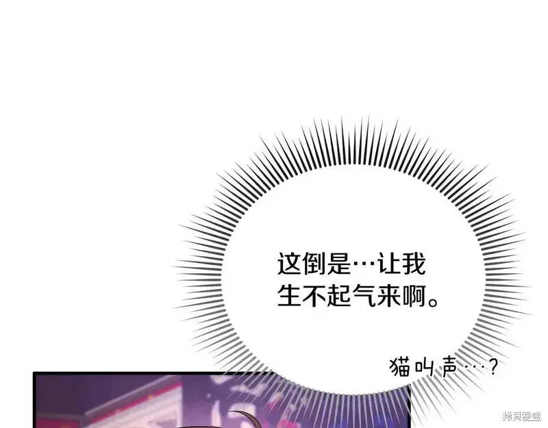 專屬蘇丹的寶貝貓咪,第5话,第13张